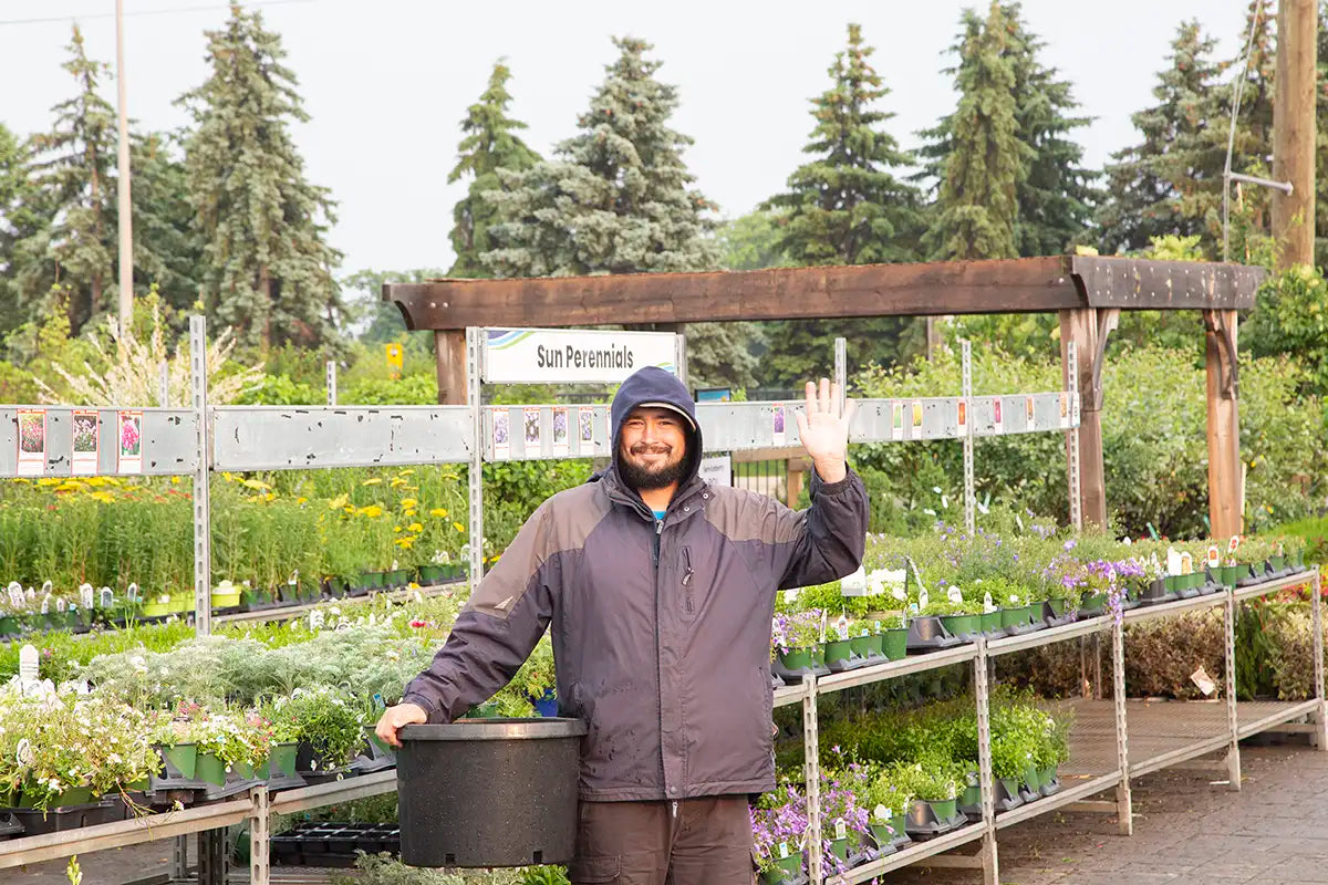 Staff member in a garden center holding a pot and waving, with plants and a wooden pergola in the background.