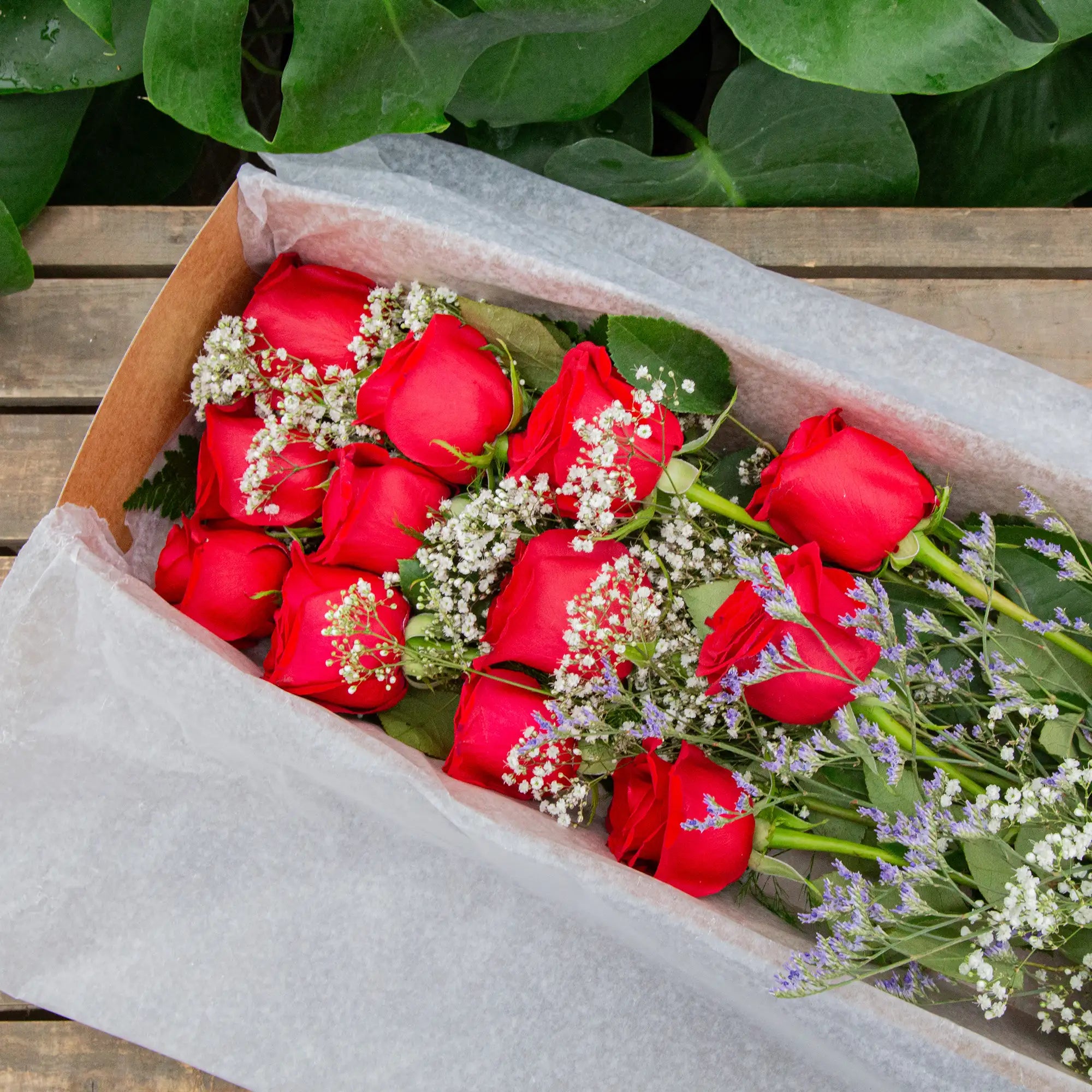 Dozen Long Stem Roses