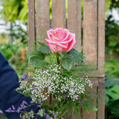 Three Long Stem Roses