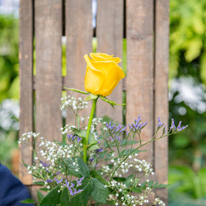 Three Long Stem Roses