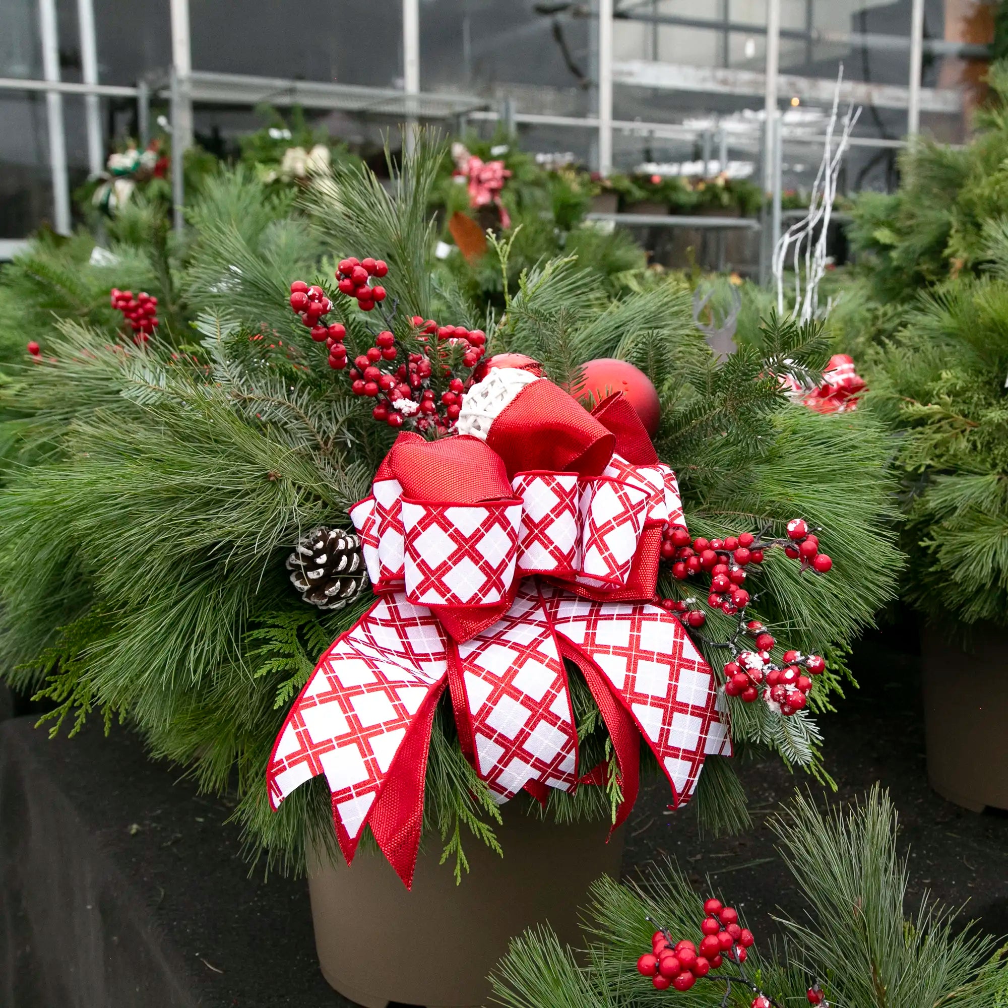 Workshop: Classic Evergreen Urn