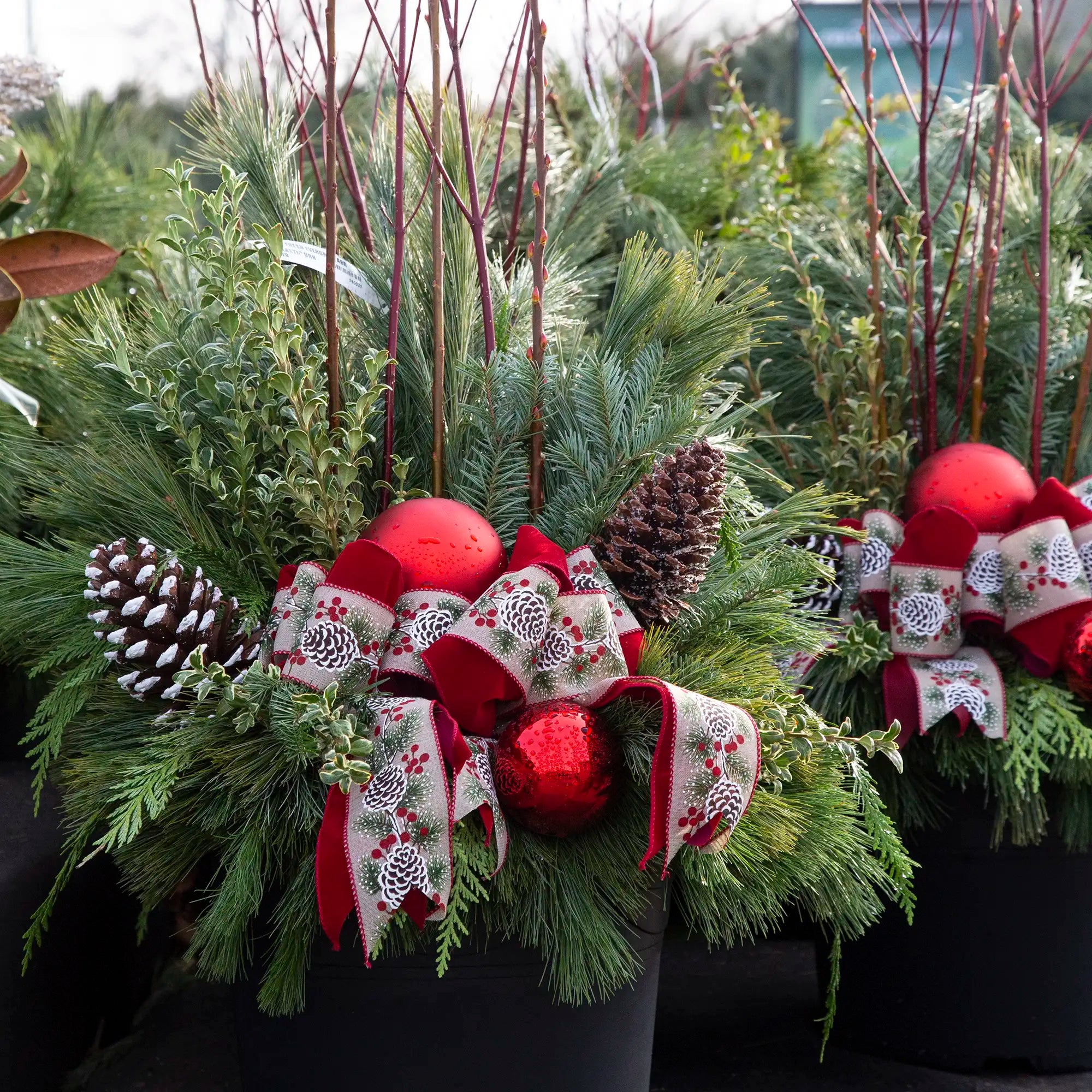 Workshop: Classic Evergreen Urn