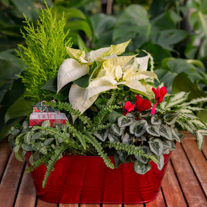 Workshop: Classic Holiday Planter