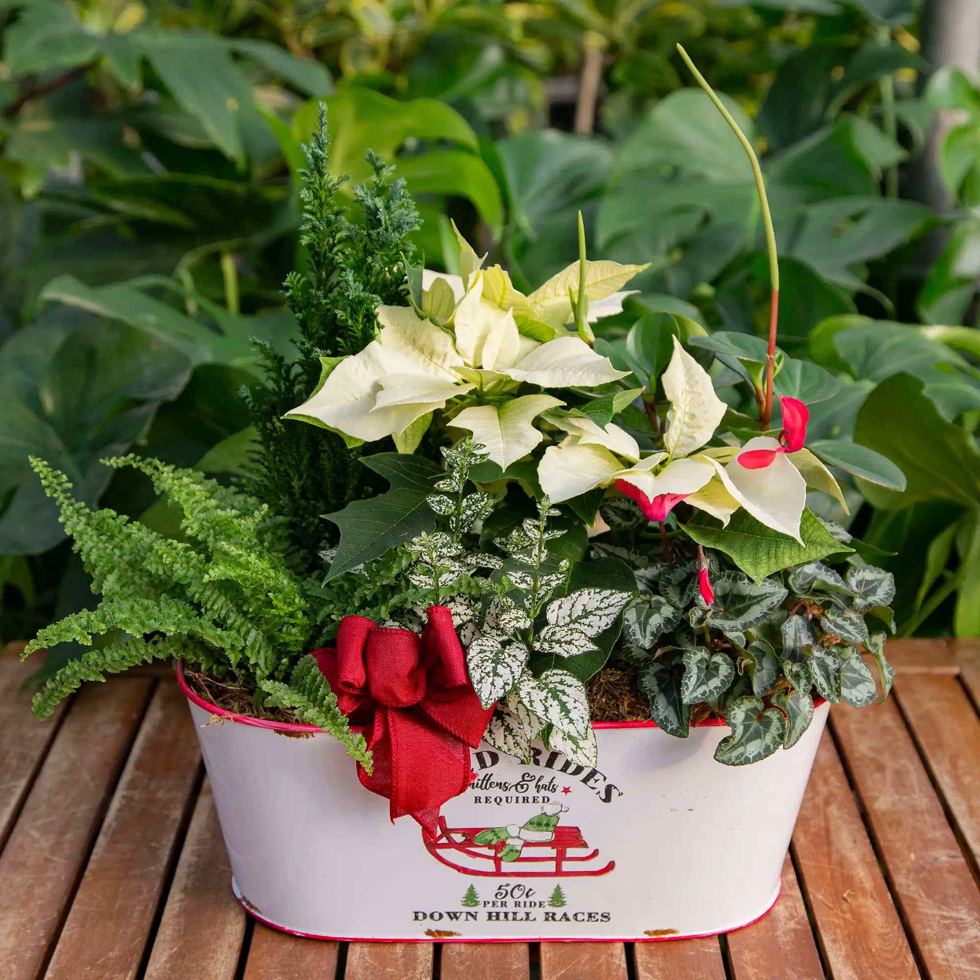 Workshop: Classic Holiday Planter