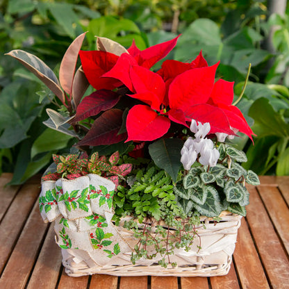 Workshop: Deluxe Holiday Planter