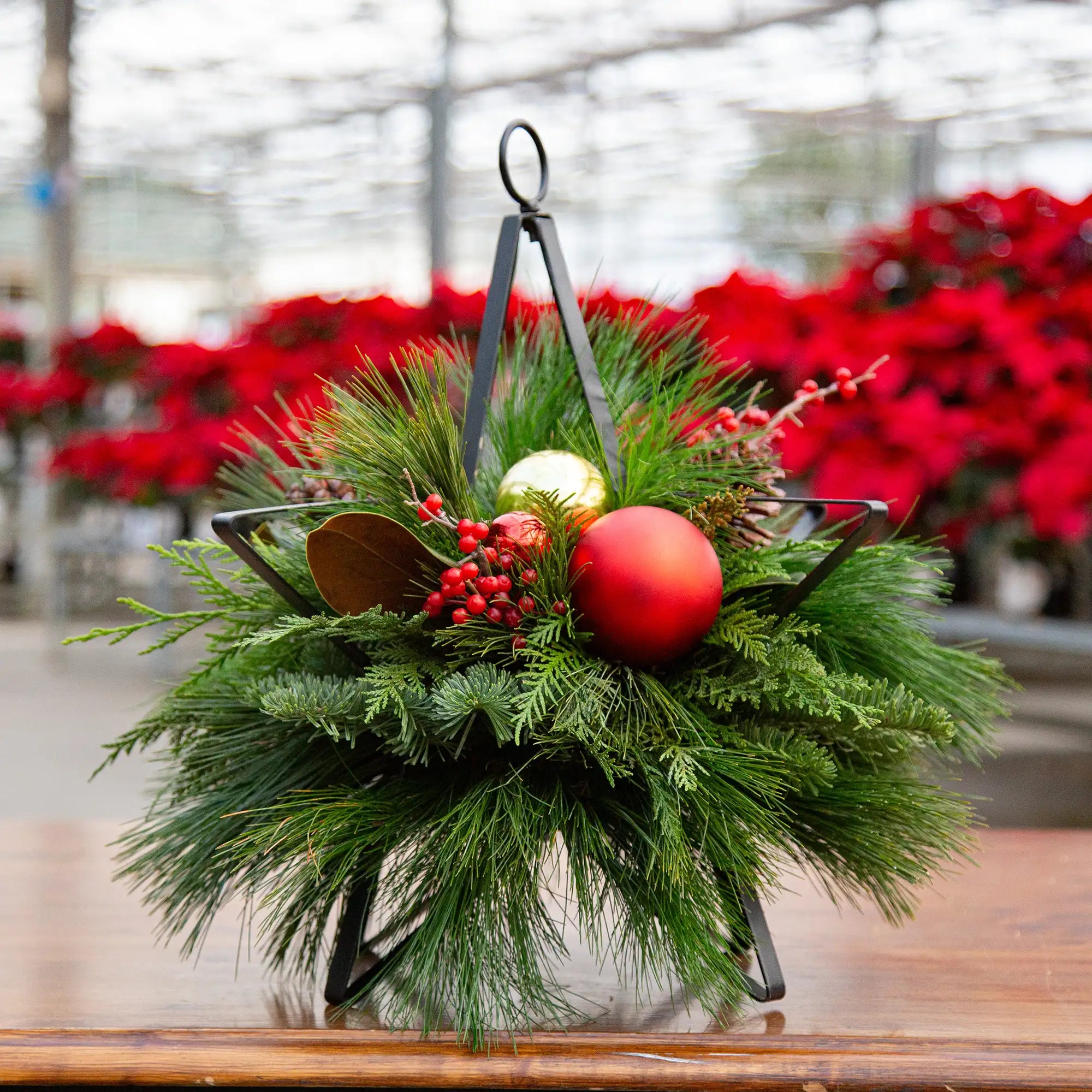 Workshop: Evergreen Star