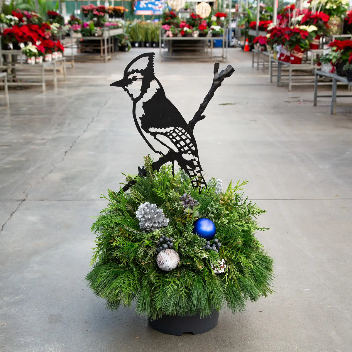 Evergreen arrangement with a black metal blue jay accent in it in a greenhouse setting.