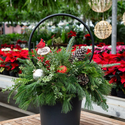 Decorative evergreen arrangement with black metal hoop accent and wooden cardinal pick in a greenhouse against a blurred poinsettia background. 