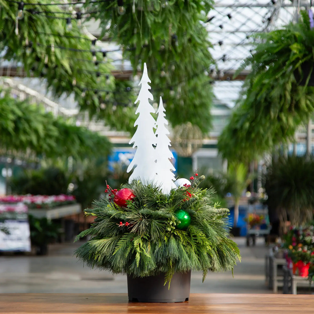Decorative evergreen arrangement with two white metal tree silhouettes in a greenhouse setting. 