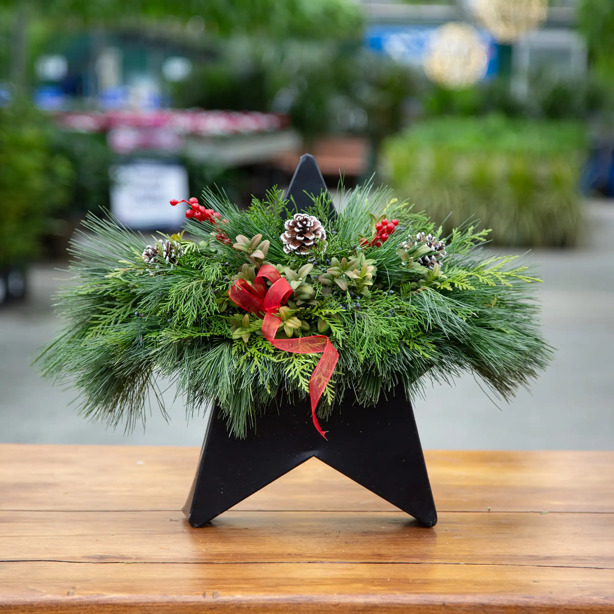 Decorative Christmas arrangement in a black star-shaped wall hanger on a wooden table with a blurred greenhouse background.