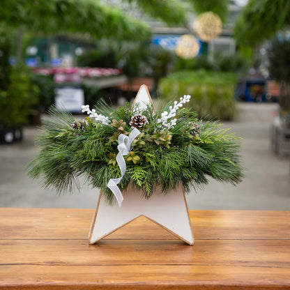 Decorative Christmas arrangement in a white star-shaped wall hanger on a wooden table with a blurred greenhouse background.