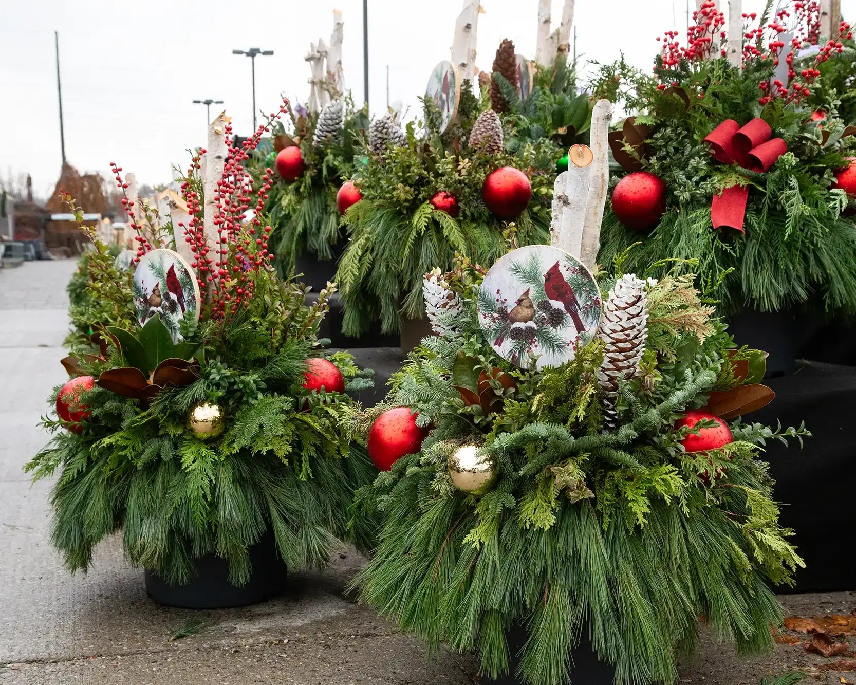 Decorated evergreen arrangements with pinecones, ornamental balls, and birch sticks in display outdoors. 