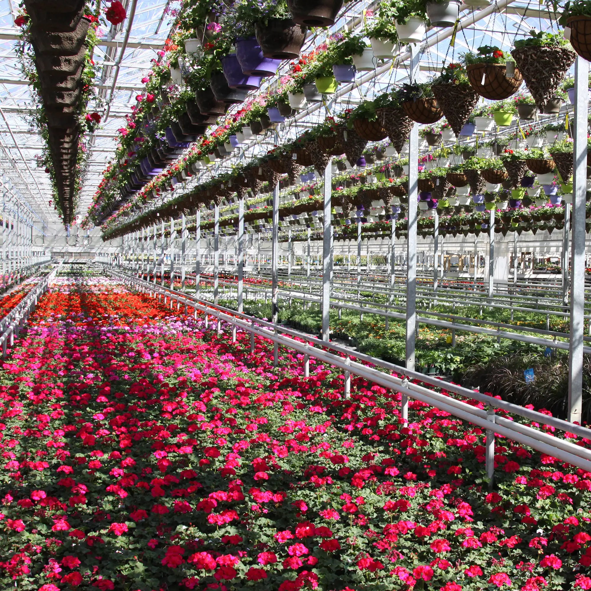 Spring Greenhouse Tour