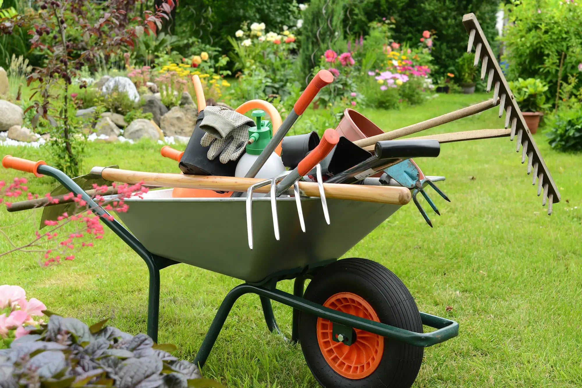 Wheelbarrow with gardening tools on a grassy area with garden in background