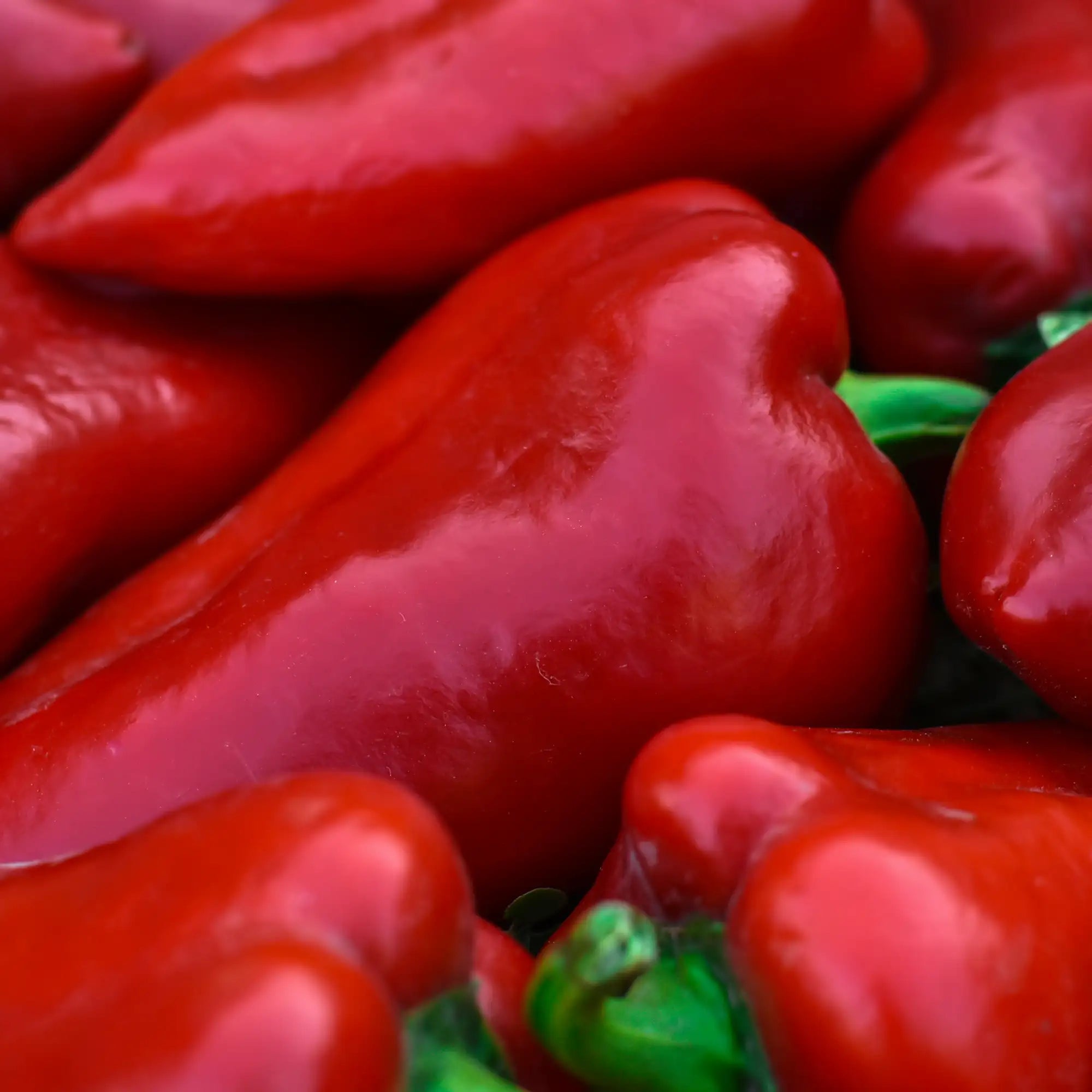 Pepper Sweet 'Super Shepherd'