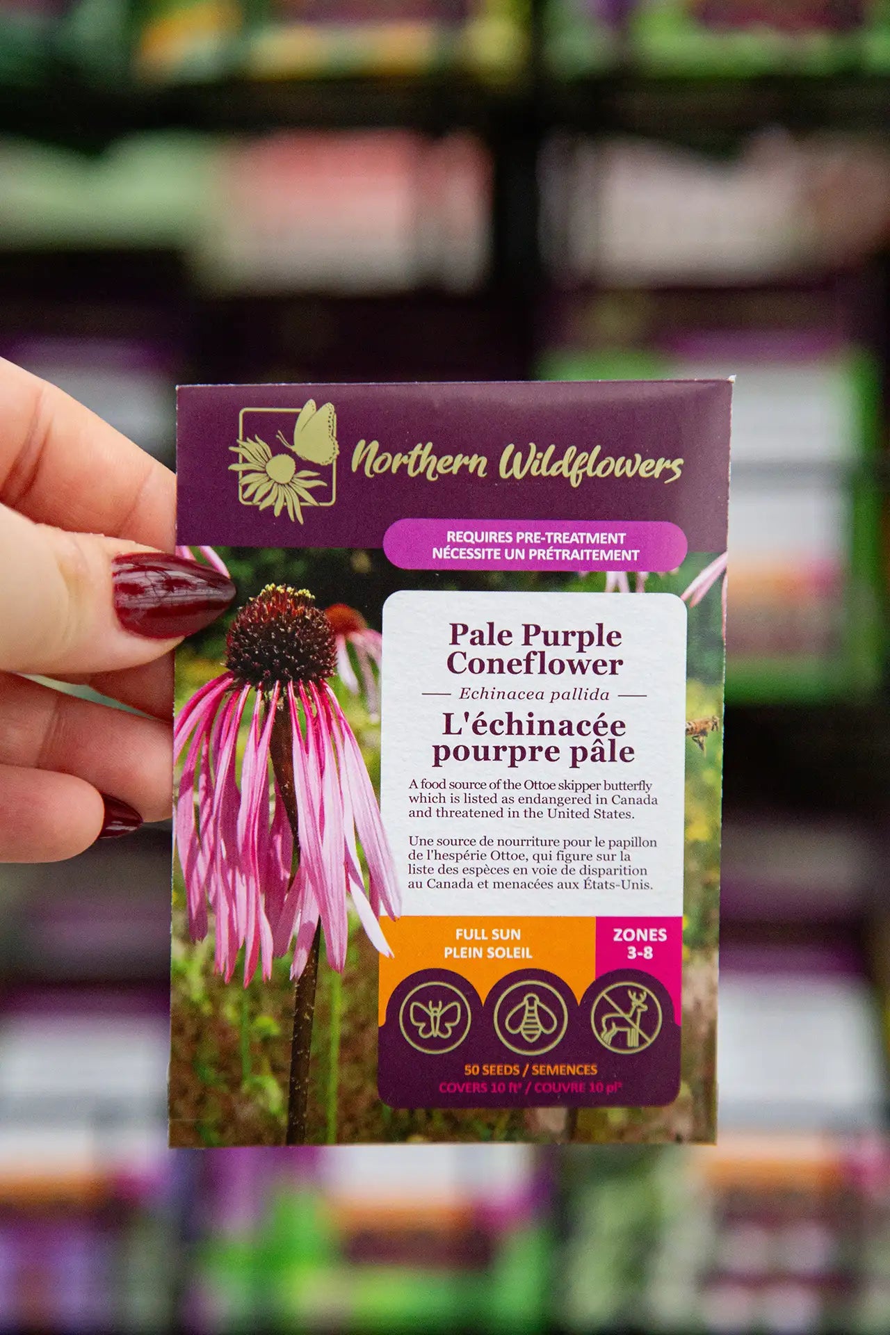 Northern Wildflowers Pale Purple Coneflower seed packet held by a hand with blurred seeds in background