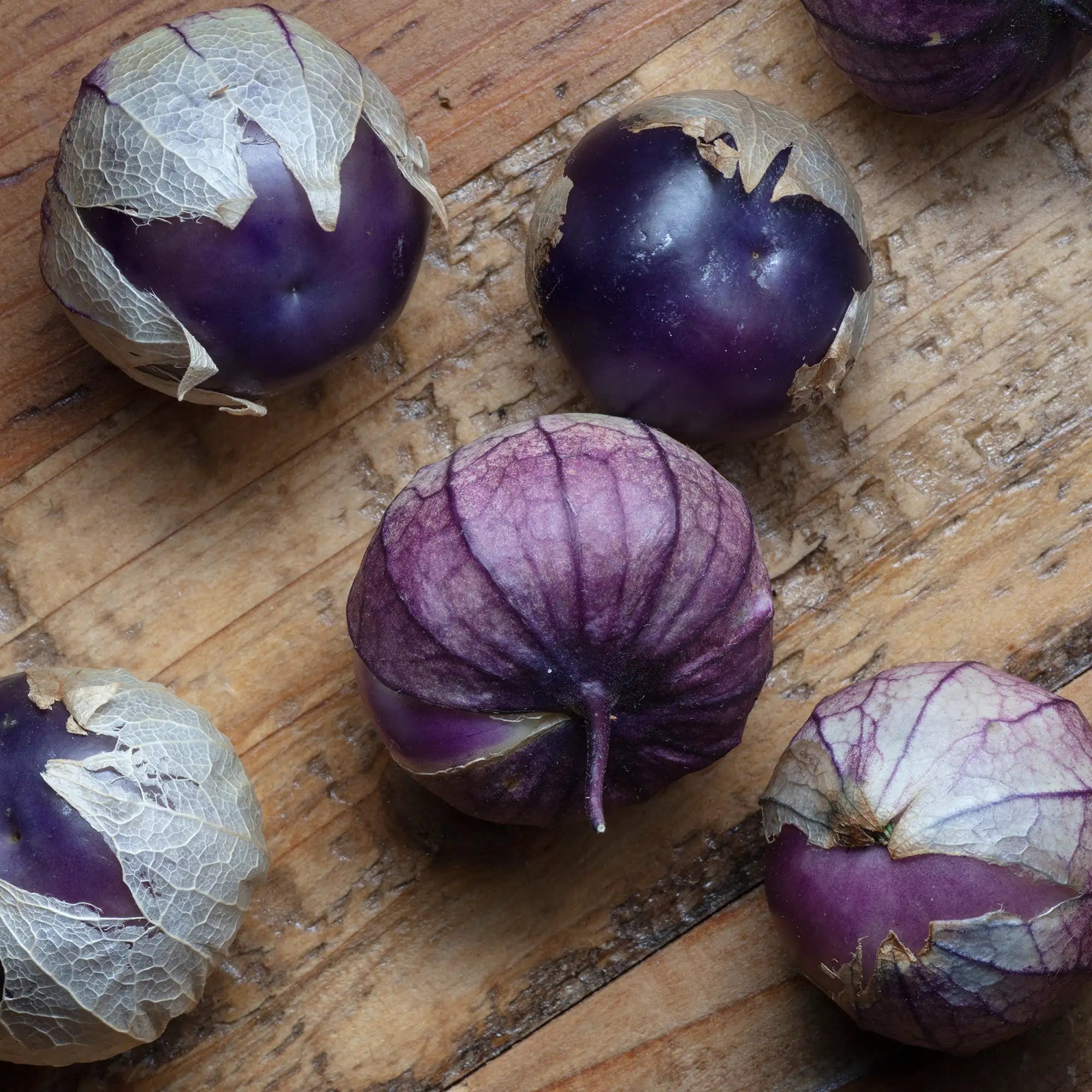 Tomatillo 'De Milpa'