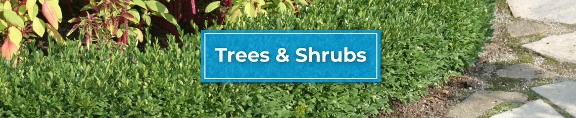 banner-trees-and-shrubs
