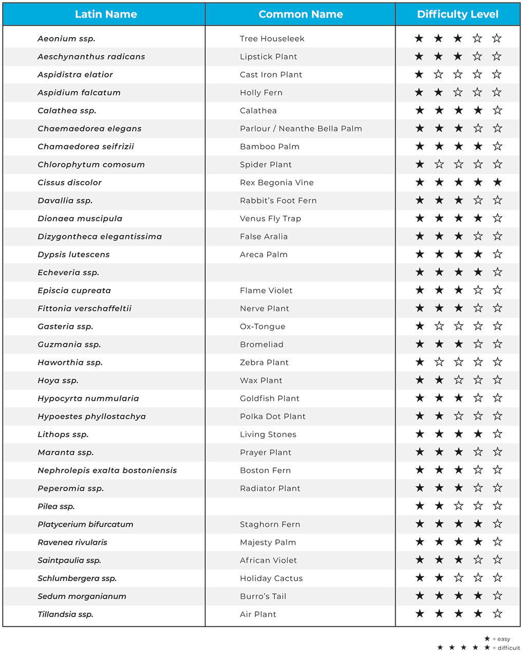 pet-friendly-houseplants