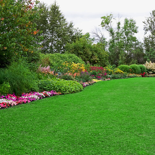 lawn-care