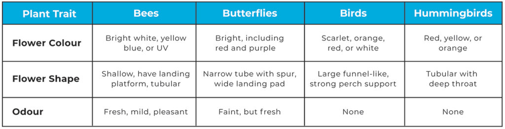 pollinator-chart